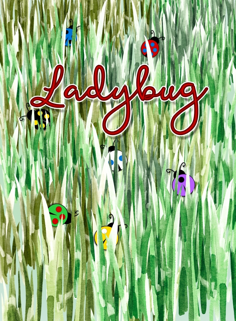 Couverture du jeu Ladybug